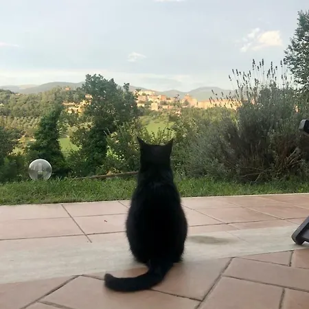 Rurale Ferienhaus Terni