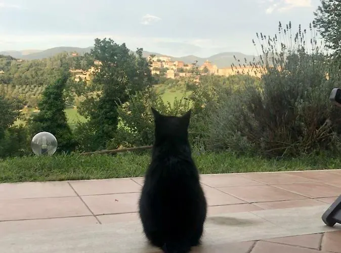 Rurale Сasa de vacaciones Terni